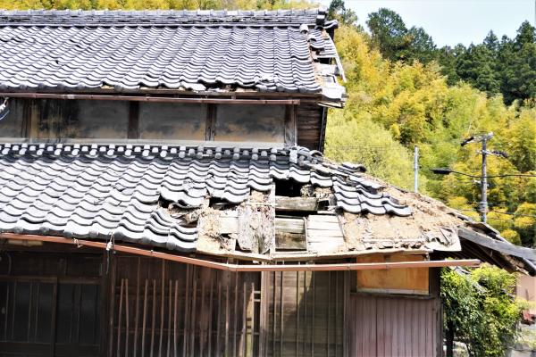 立ち会い不要の現地調査も可能